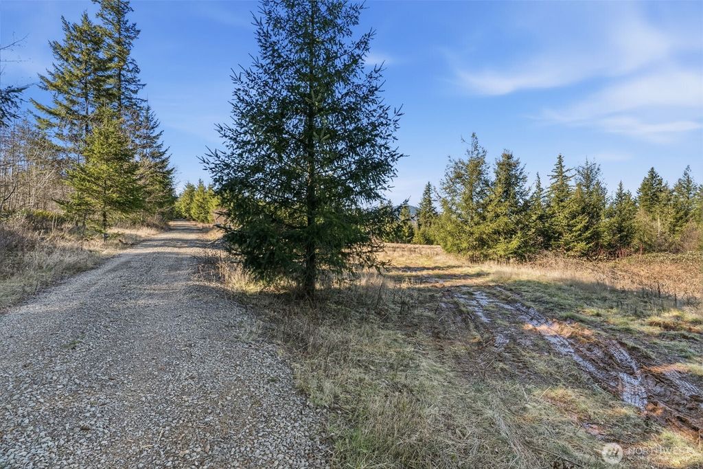 Photo of 22310 NE Dole Valley Road, Yacolt, WA 98675 (MLS # 2480502)