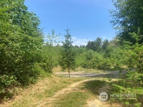 0 Off of Connor Rd SE Centralia WA 98531