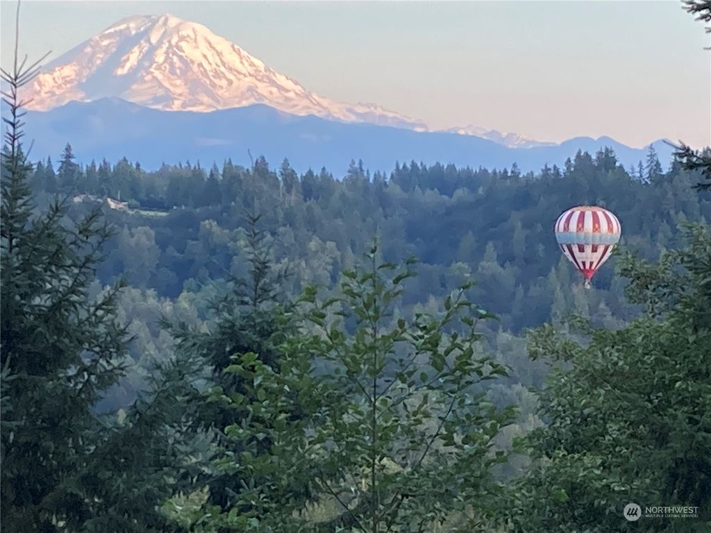 Photo of 17109 SE 354th Place, Auburn, WA 98092 (MLS # 2162603)