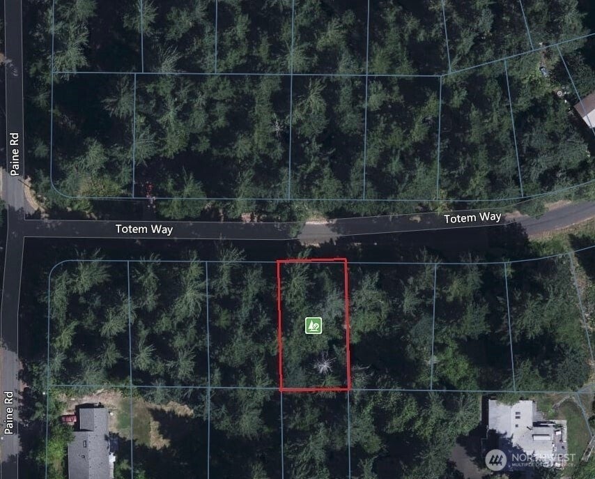 Photo of 10329 Totem Way, Anderson Island, WA 98303 (MLS # 2585042)