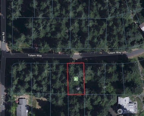 Photo of 10329 Totem Way, Anderson Island, WA 98303 (MLS # 2585042)