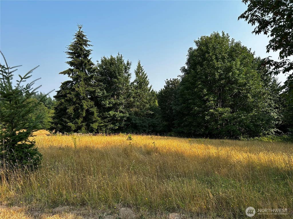Photo of 10346 210th Lane SW, Rochester, WA 98579 (MLS # 2566690)