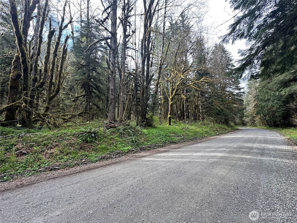 Photo of 0 Miller River Road, Skykomish, WA 98288 (MLS # 2365667)