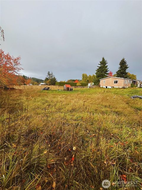 Photo of 909 N 1st Street, Pe Ell, WA 98572 (MLS # 2448642)