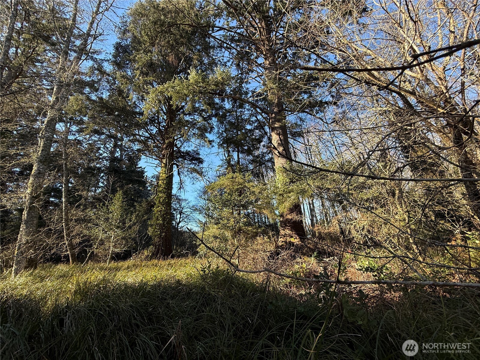 27399 Sandridge Road