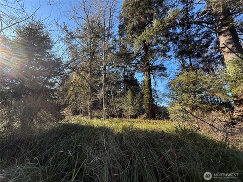 Photo of 27399 Sandridge Road, Ocean Park, WA 98640 (MLS # 2550986)