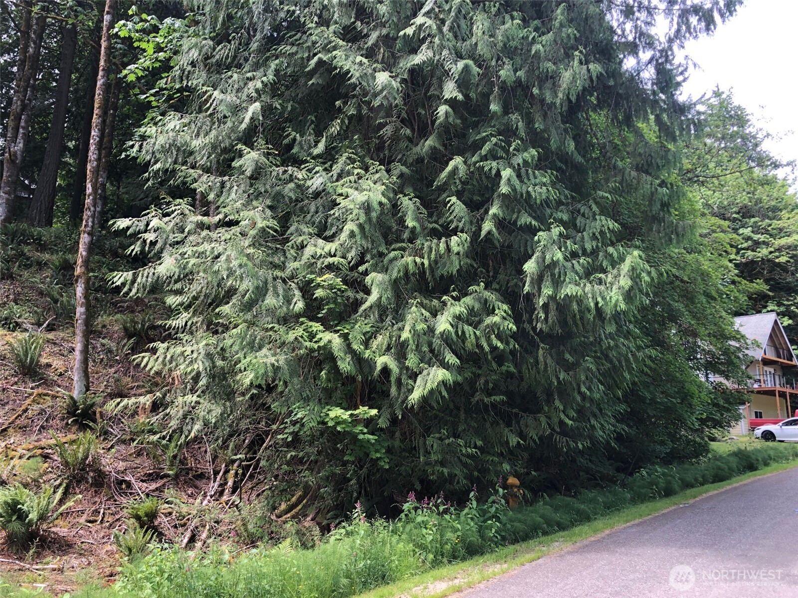 8 Twin Flower Circle