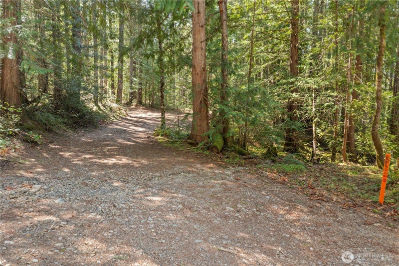0 N White Tail Trail