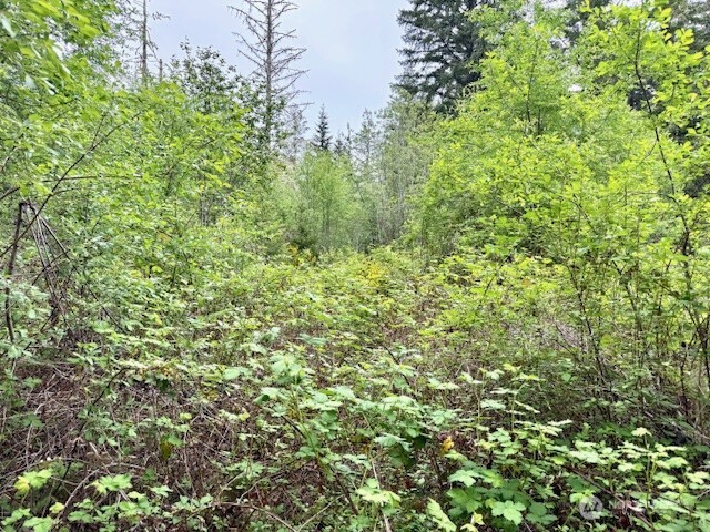 16711 115th Street NW