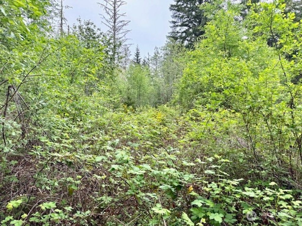 Photo of 16711 115th Street NW, Gig Harbor, WA 98329 (MLS # 2458545)