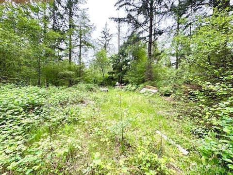 Photo of 16711 115th Street NW, Gig Harbor, WA 98329 (MLS # 2458545)