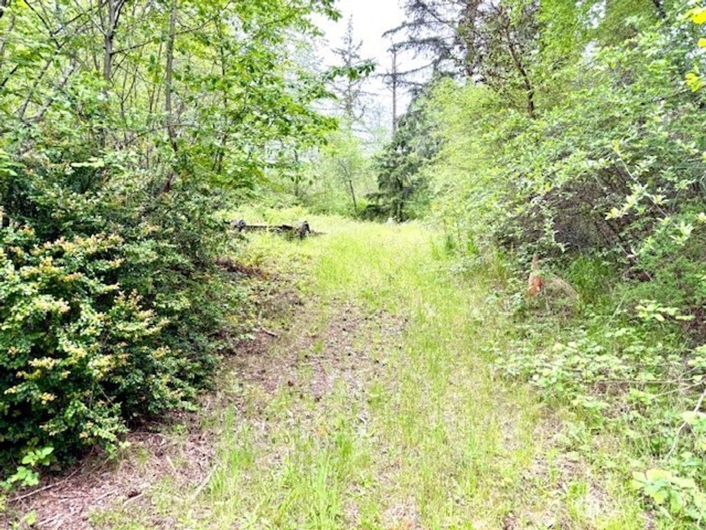 Photo of 16711 115th Street NW, Gig Harbor, WA 98329 (MLS # 2458545)