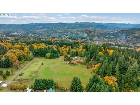 Photo of 22416 NE Abernathy Road, Yacolt, WA 98675 (MLS # 2459513)