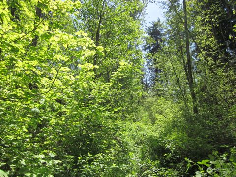 20633 SE 388th Street Enumclaw WA 98022