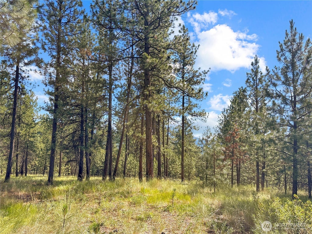 Photo of 2 Tanner Short Plat, Riverside, WA 98849 (MLS # 2560283)