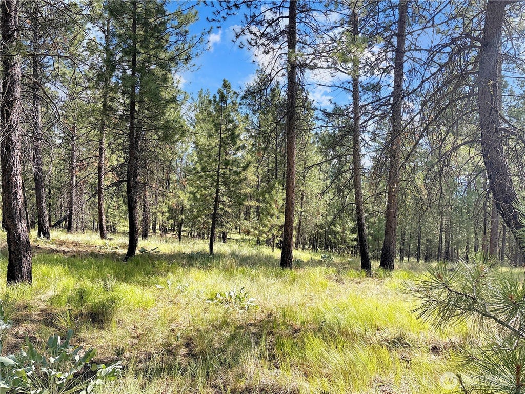 Photo of 2 Tanner Short Plat, Riverside, WA 98849 (MLS # 2560283)