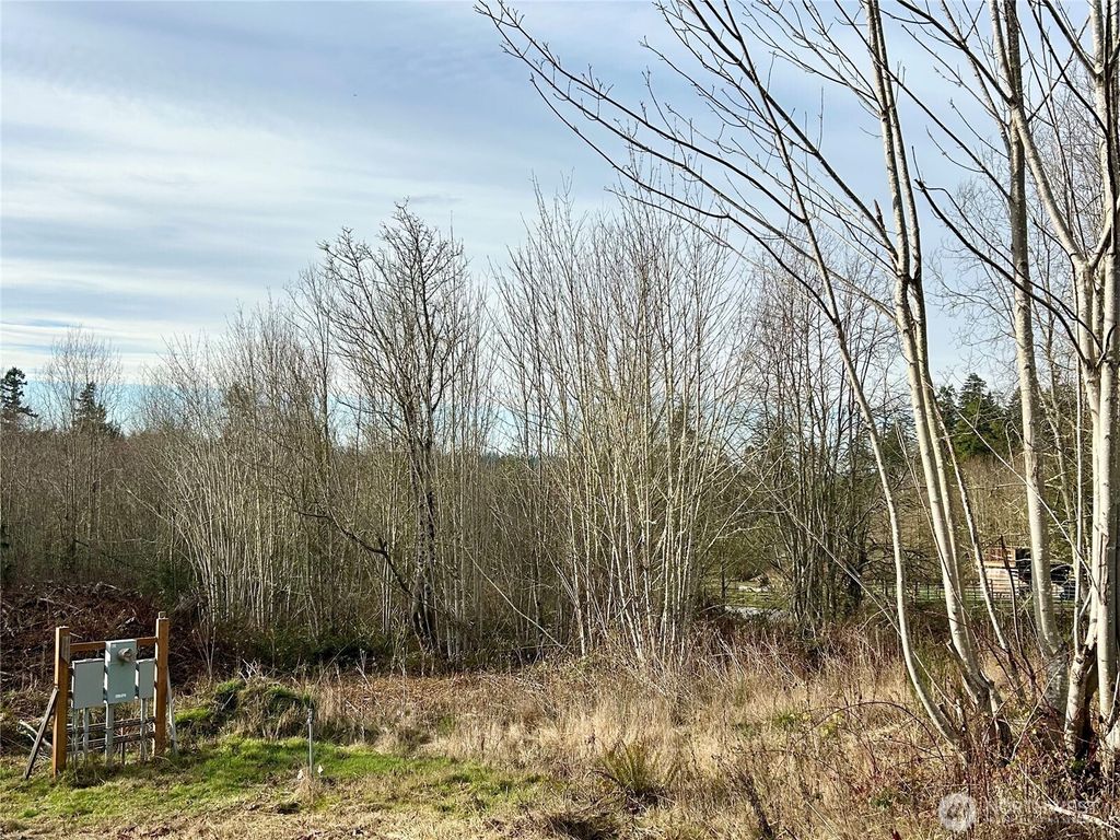 Photo of 43 Shadowbrooke Lane, Port Hadlock, WA 98339 (MLS # 2477862)