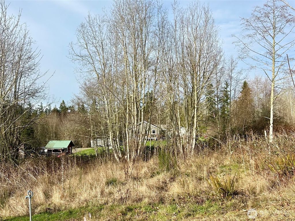 Photo of 43 Shadowbrooke Lane, Port Hadlock, WA 98339 (MLS # 2477862)