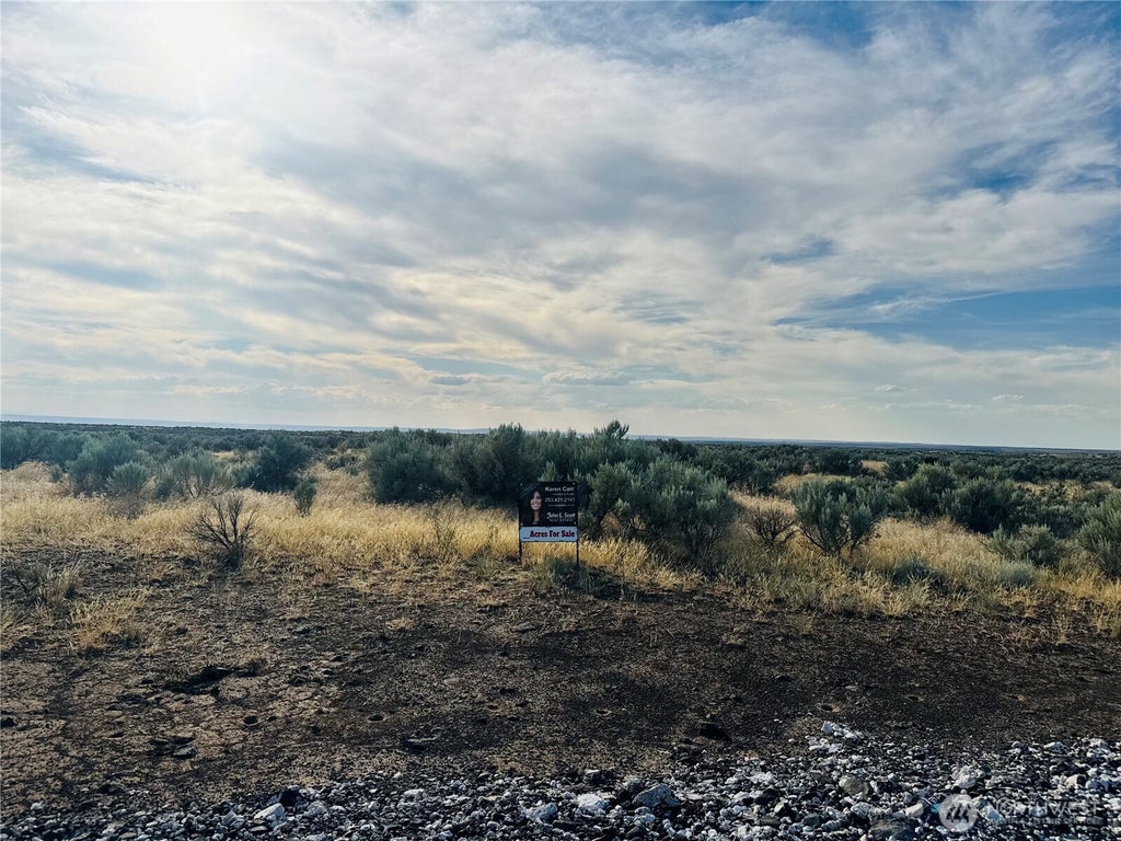 Photo of 223 RD 0.3 NE, Wilson Creek, WA 98860 (MLS # 2553497)