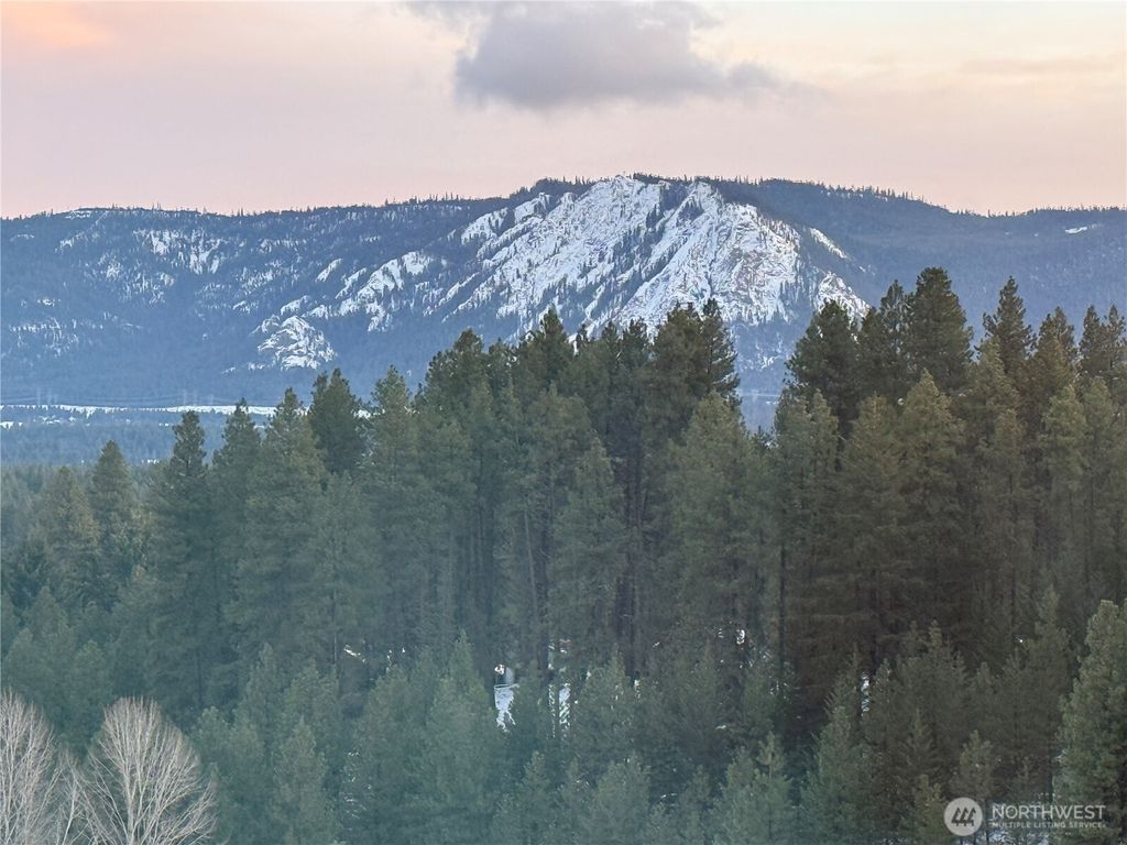 Photo of 0 S 3rd St Alley, Roslyn, WA 98941 (MLS # 2477914)