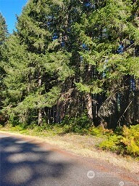 8914 130th Avenue Ct Anderson Island WA 98303