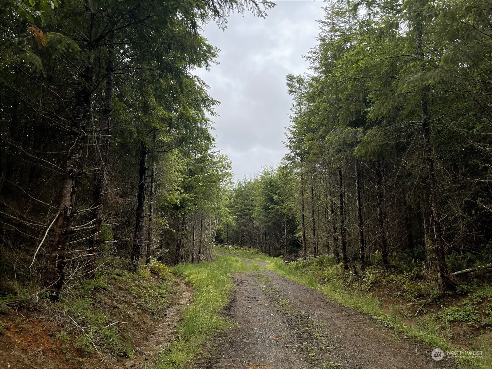 3 Centralia Alpha Road