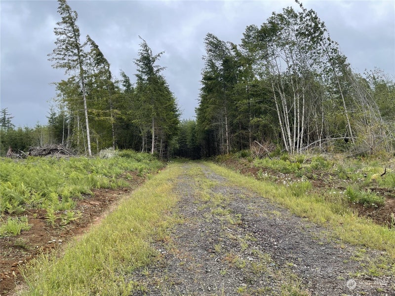 3 Centralia Alpha Road