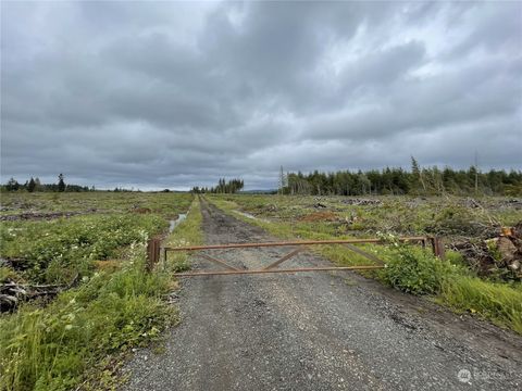 3 Centralia Alpha Road Onalaska WA 98570