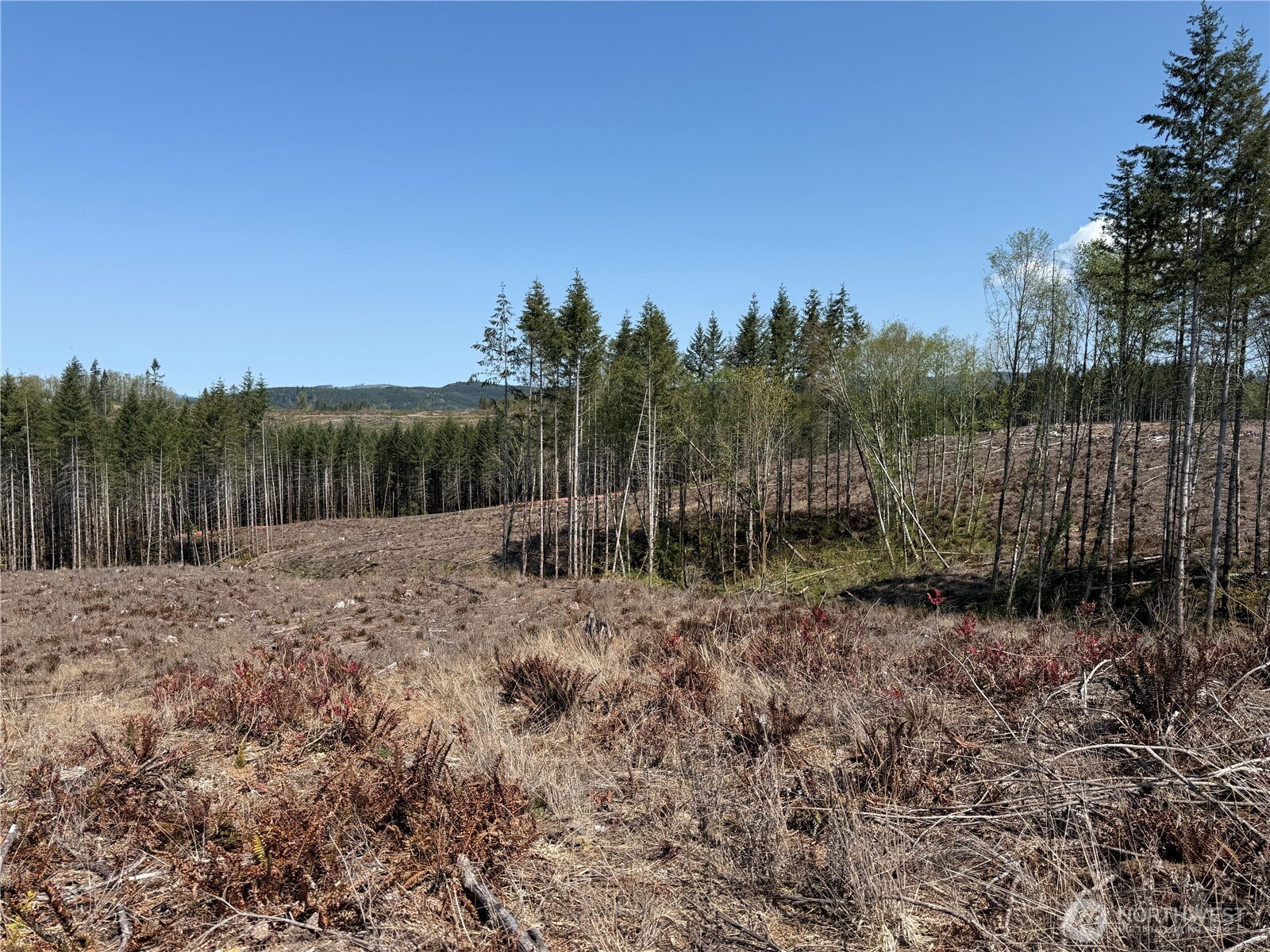 3 Centralia Alpha Road