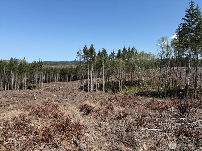 3 Centralia Alpha Road