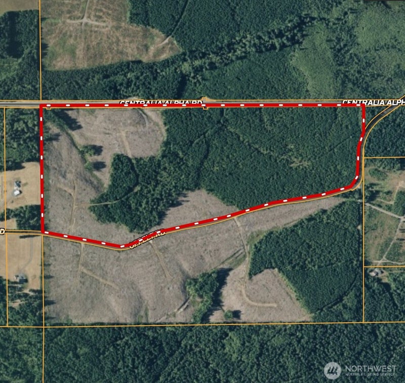3 Centralia Alpha Road