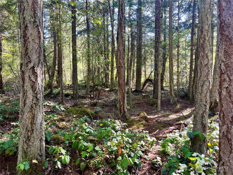 0 Thatcher Pass Road