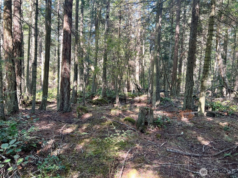 0 Thatcher Pass Road