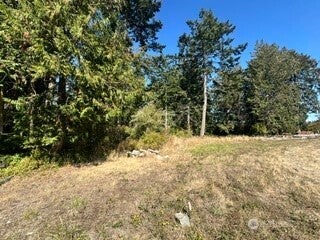 Photo of 68 Bryn Mawr Avenue #C, Lopez Island, WA 98261 (MLS # 2574672)
