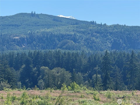 Photo of 0 114th Avenue Ct E, Eatonville, WA 98328 (MLS # 2539899)