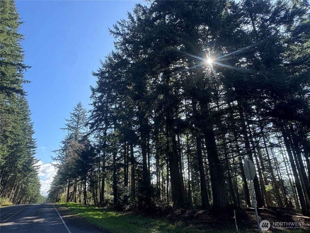 Photo of 396 Durr Road, Camano Island, WA 98282 (MLS # 2498675)