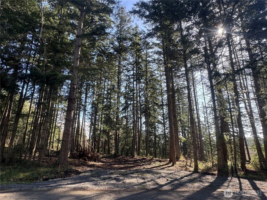 Photo of 396 Durr Road, Camano Island, WA 98282 (MLS # 2498675)