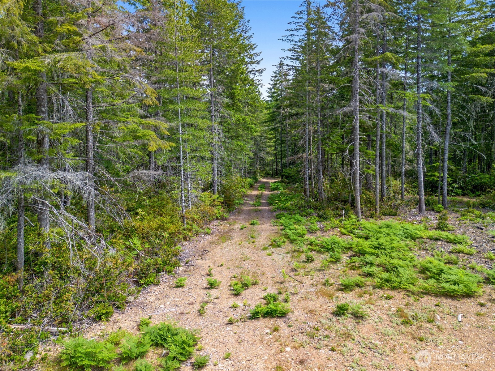 905 NE Tahuya Blacksmith Road