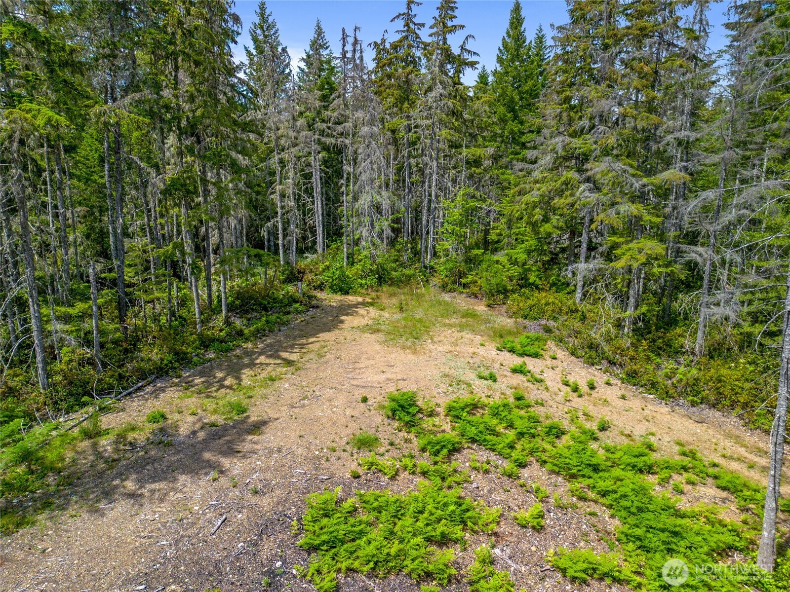 905 NE Tahuya Blacksmith Road