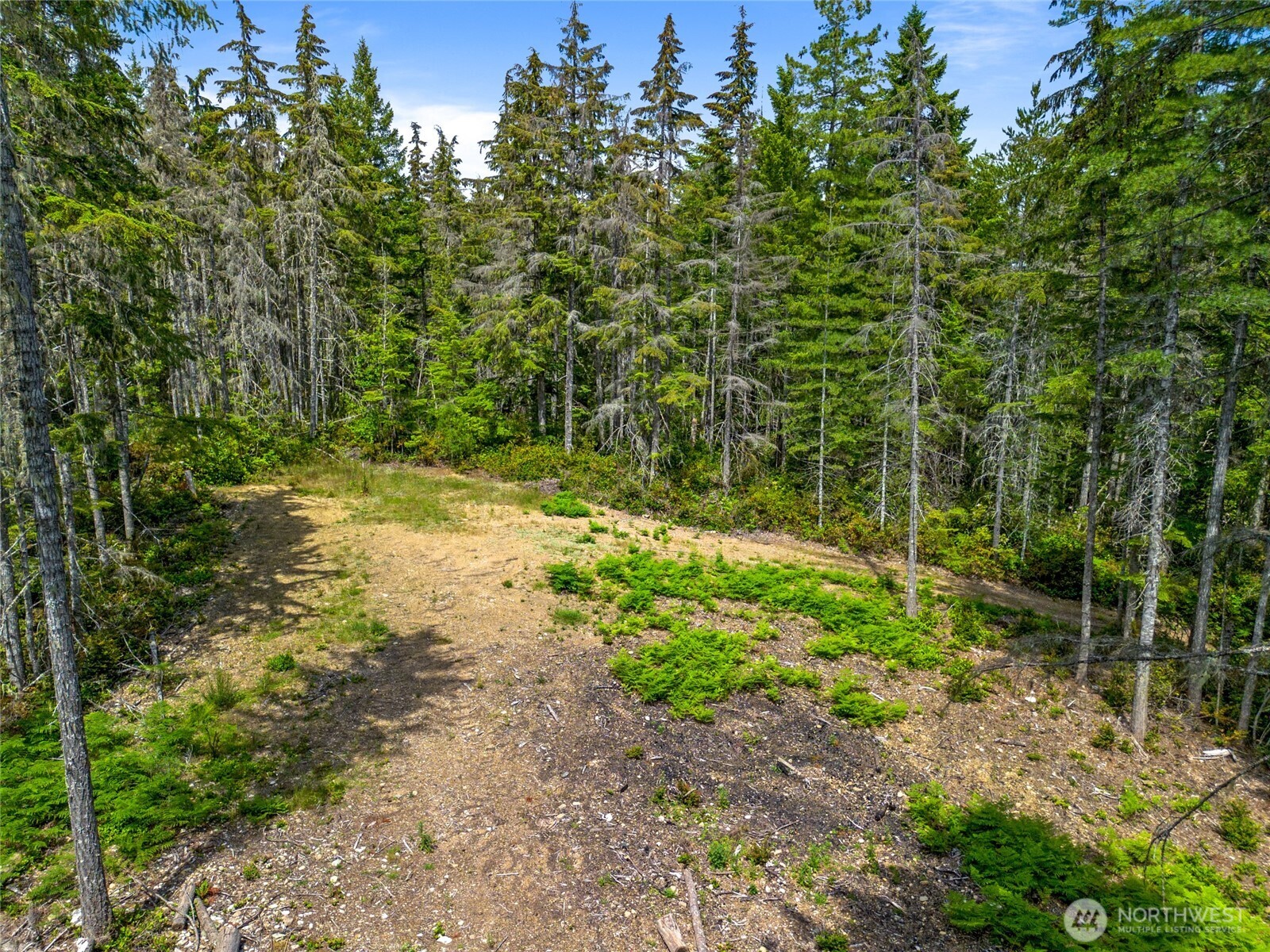 905 NE Tahuya Blacksmith Road