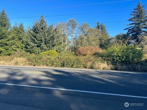 Photo of 10558 Sandridge Road, Long Beach, WA 98631 (MLS # 2041202)