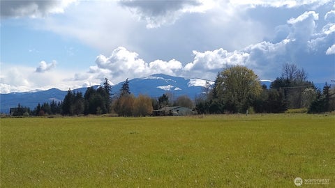 Photo of 559 06 Boistfort Rd, Curtis, WA 98538 (MLS # 2581802)