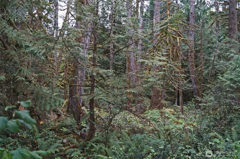 Photo of 15501 N US Highway 101, Shelton, WA 98584 (MLS # 2493567)