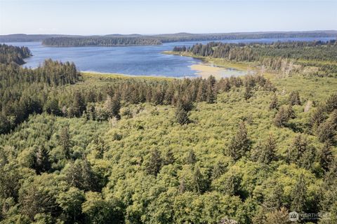 Photo of 1 Swamp Road, Sekiu, WA 98381 (MLS # 2480296)