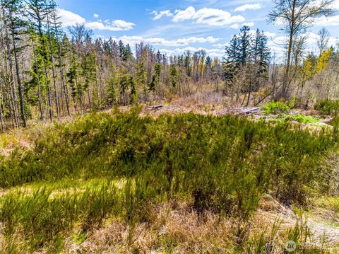 1 40th Avenue S Roy WA 98580