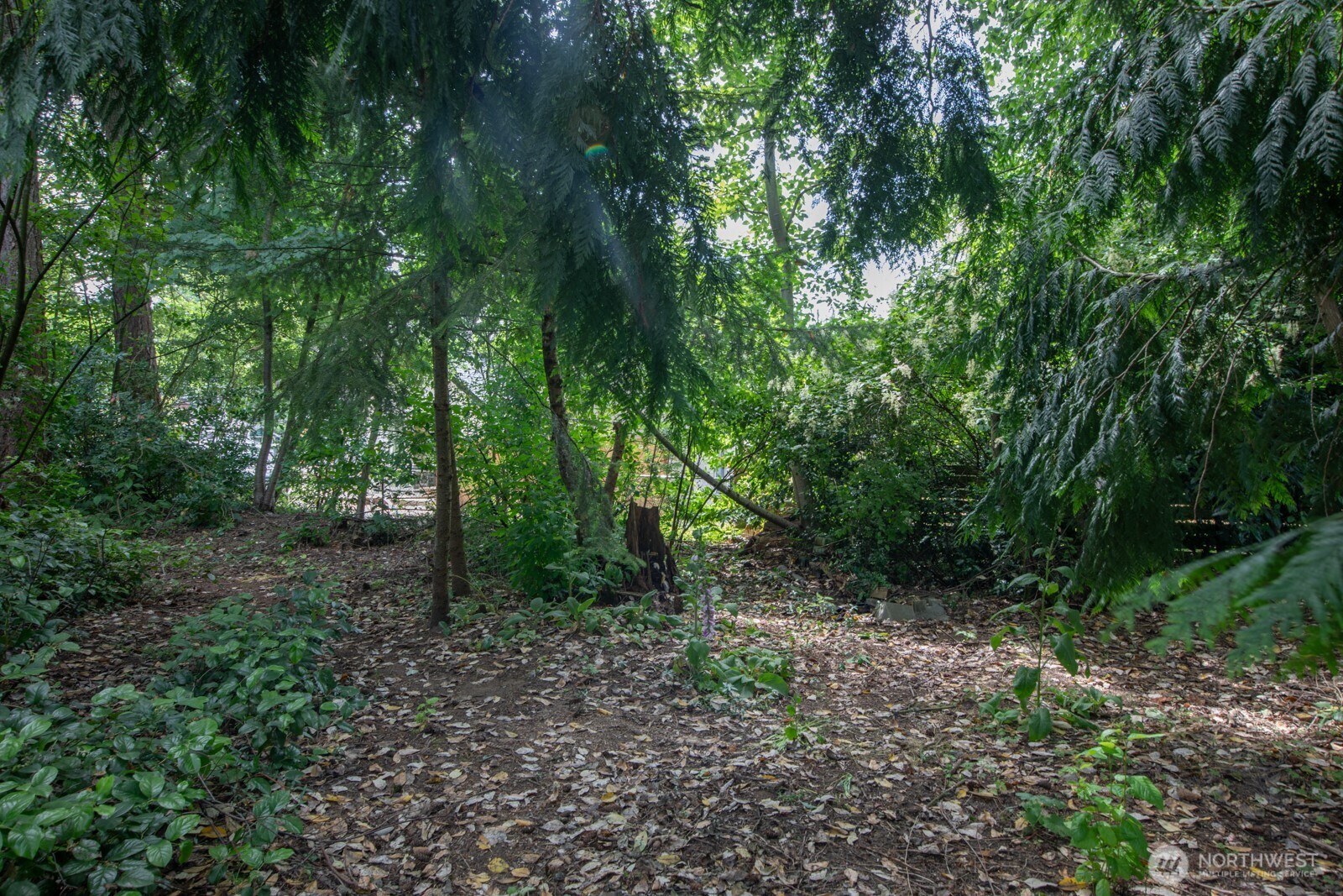 0 1st Avenue NE