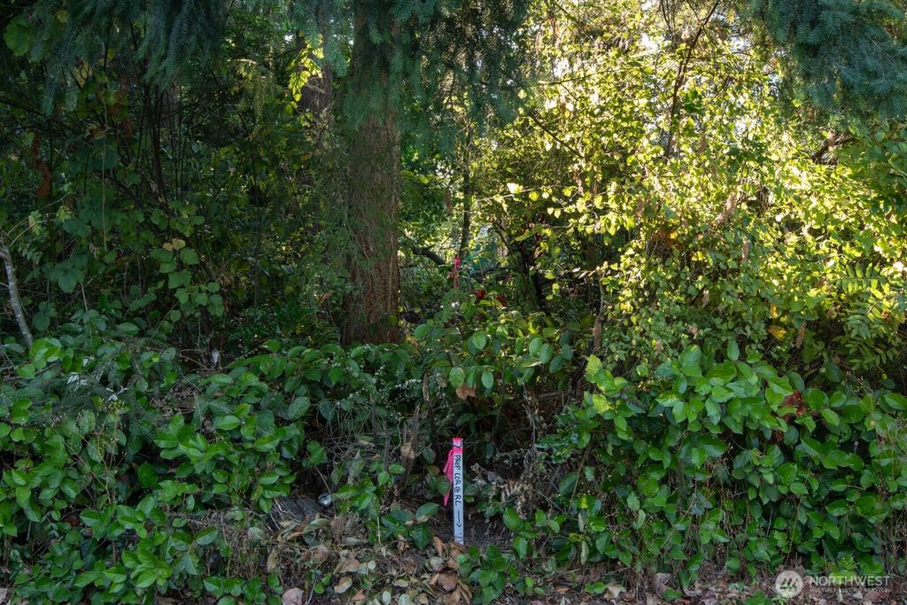 Photo of 0 1st Avenue NE, Seattle, WA 98125 (MLS # 2396705)