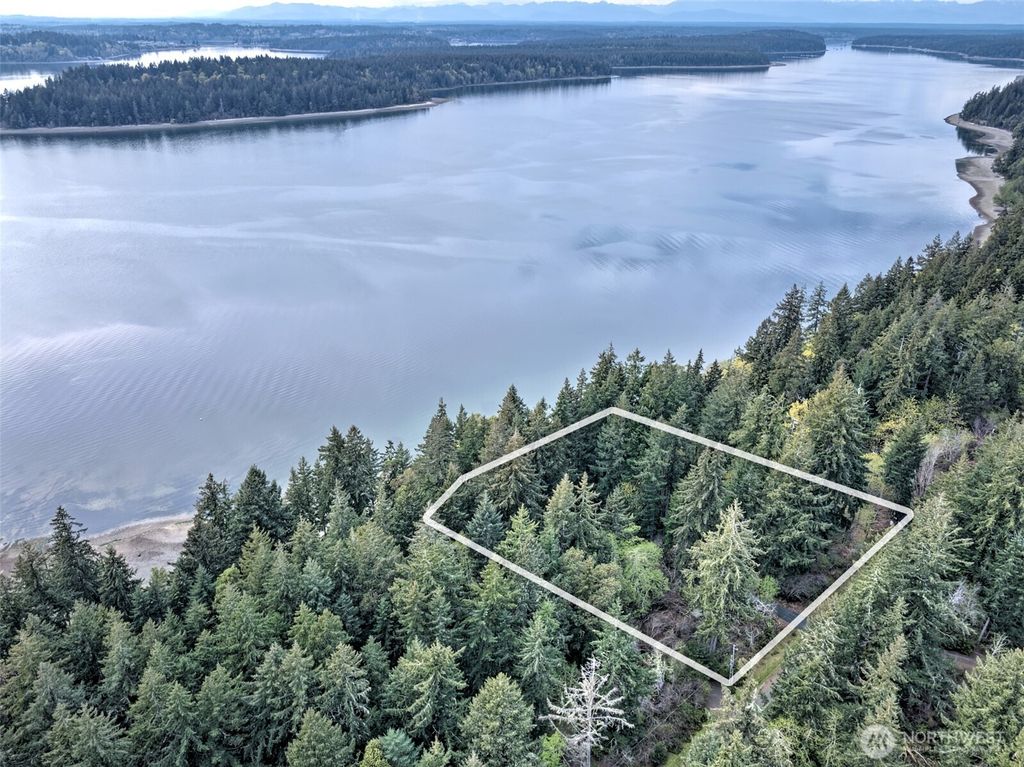 Photo of 101 E Peale Drive, Shelton, WA 98584 (MLS # 2508835)