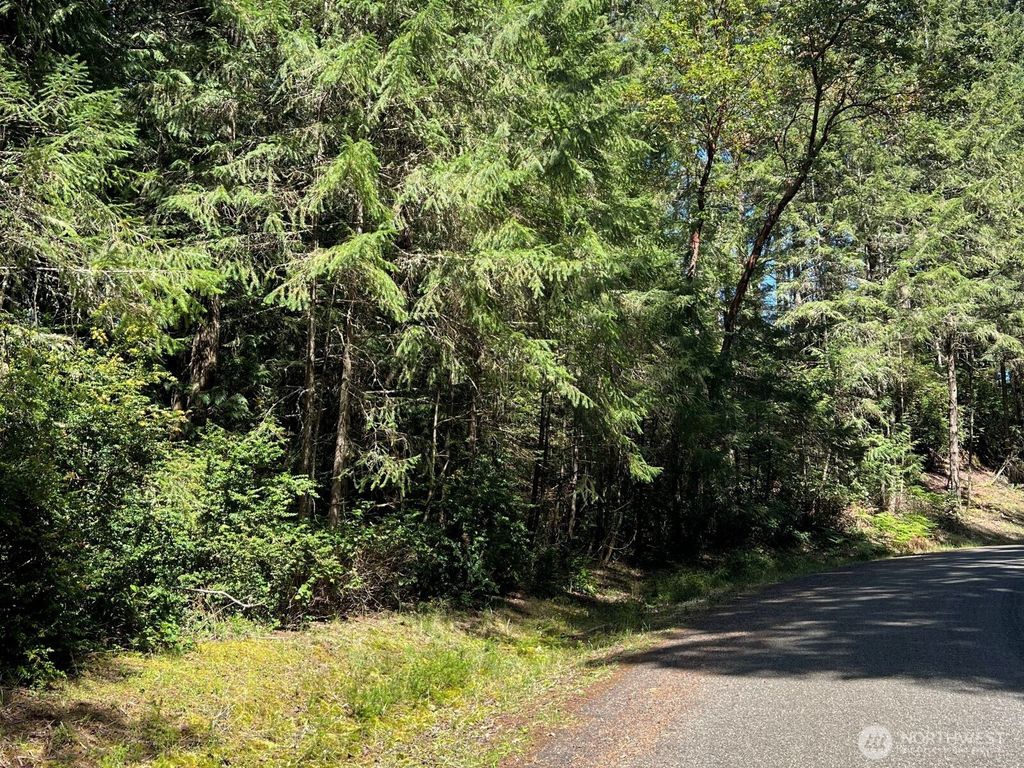 Photo of 10919 Suncrest Drive, Anderson Island, WA 98303 (MLS # 2514198)