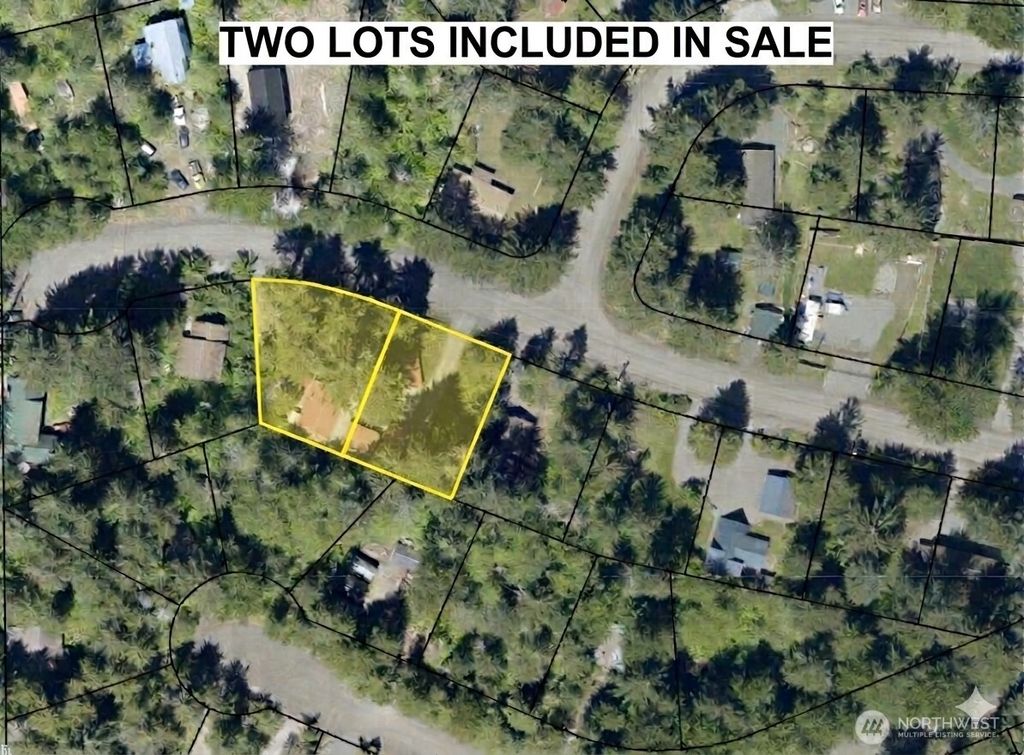 Photo of 321 Paradise Drive, Ashford, WA 98304 (MLS # 2506265)